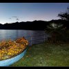 20101113_032